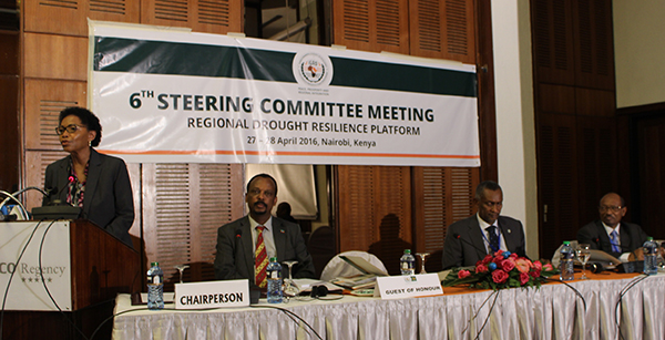 IGAD to Measure Progress in Implementation of Resilience to Drought Regional Initiative