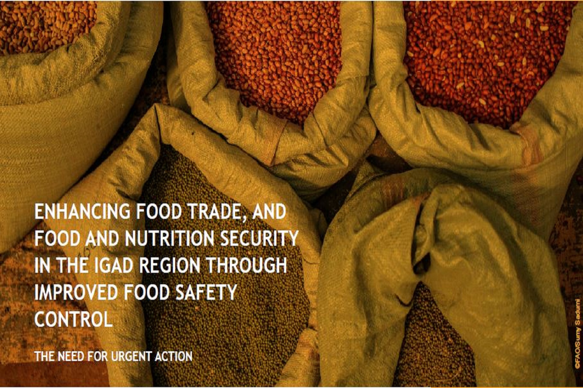 Enhancing Food Trade, and Food and Nutrition Security in the IGAD Region through Improved Food Safety Control the Need for Urgent Action