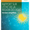 IGAD Strategy, State of Region - French Version