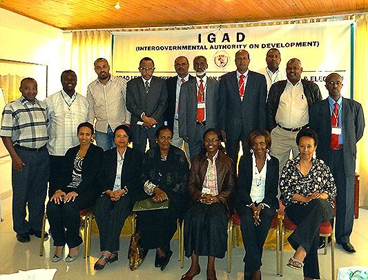 IGAD Protocol on Democracy, Governance and Elections Reviewed