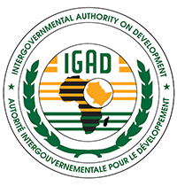 IGAD High Level Ministerial Roundtable Discussion on Remittances as a Tool for Financing Development and Meeting Food Security