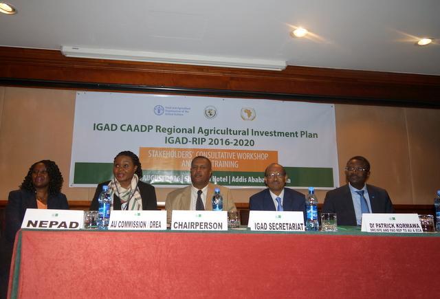 Stakeholders Meet to Review the IGAD Regional Agricultural Investment Plan 2016-2020