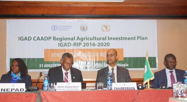 Ministers from IGAD Member States Validate the Regional Agricultural Investment Plan 2016-2020
