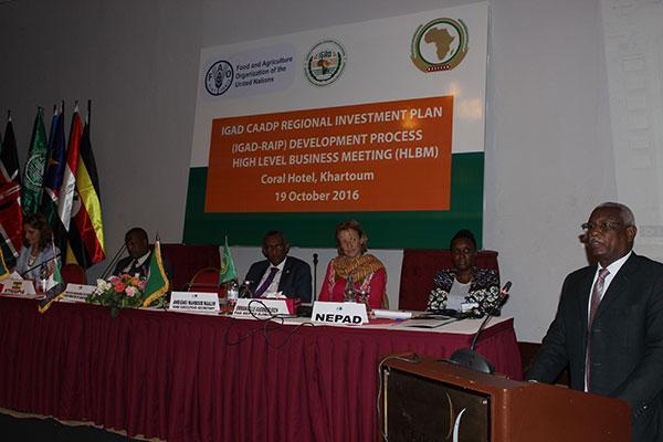 IGAD MEMBER STATES AND PARTNERS RECOMMIT TO CAADP
