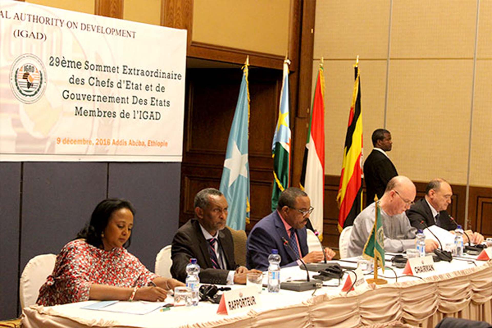 Communique of the 29th Extraordinary Summit of IGAD Heads of State and Government