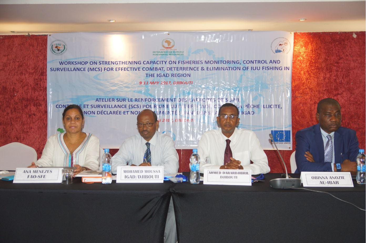 IGAD Member States and Partners Meet to Combat Illegal Fishing  in the Region