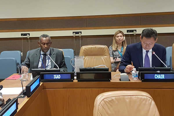 IGAD Executive Secretary Briefs UNSC Sanctions Committees