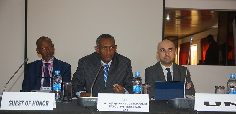 IGAD Convenes Regional Organizations on a Mediation Meeting