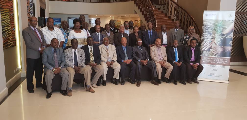 IGAD workshop for forestry policy in Nairobi