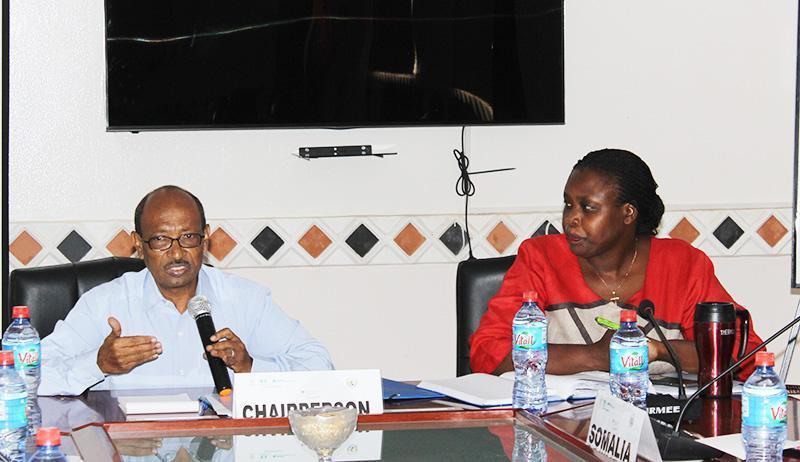 Validation workshop at Djibouti