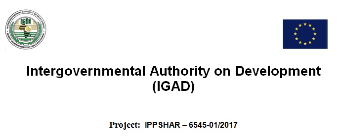 Tender for Conflict and Gender Analyses on PCVE in the IGAD region