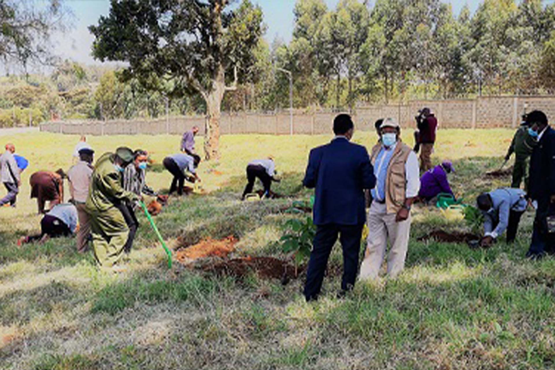 Tree Planting At IGAD Climate Center in Kenya