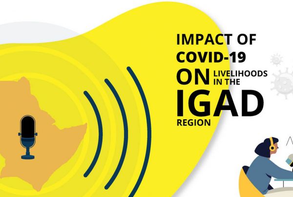 Impact of Covid-19 on Education systems in the IGAD region