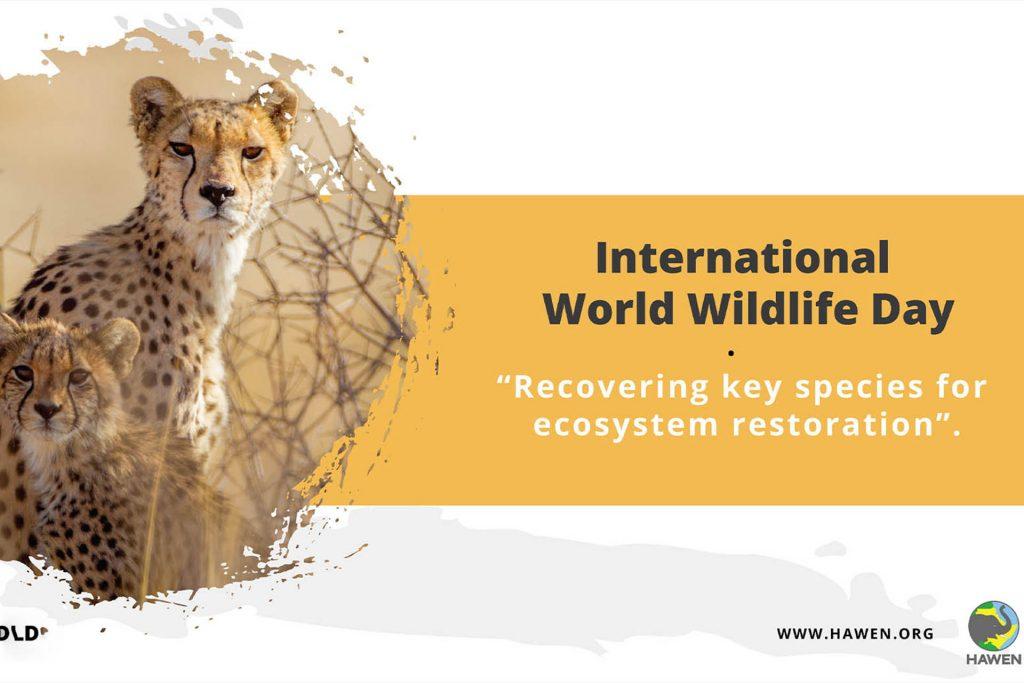 International world wildlife day