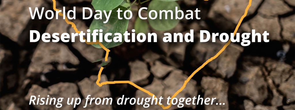 Combatting Desertification and Mitigating Drought Effects-an Emergency