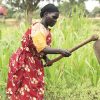 Women’s Land Rights Agenda for South Sudan