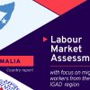 Labour Market Assessment with a Focus on Migrant Workers from the IGAD Region: Somalia Country Report
