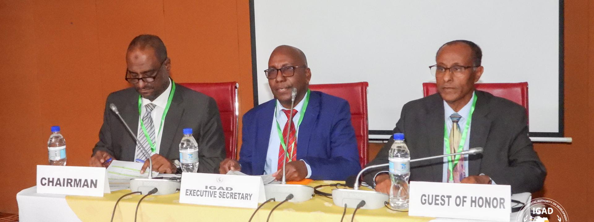 IGAD and AfDB Collaborate for Renewable Energy for the Region