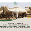 Camel Resources Management Strategy for the IGAD Region 2023 - 2032