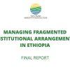 MANAGING FRAGMENTED INSTITUTIONAL ARRANGEMENTS IN ETHIOPIA