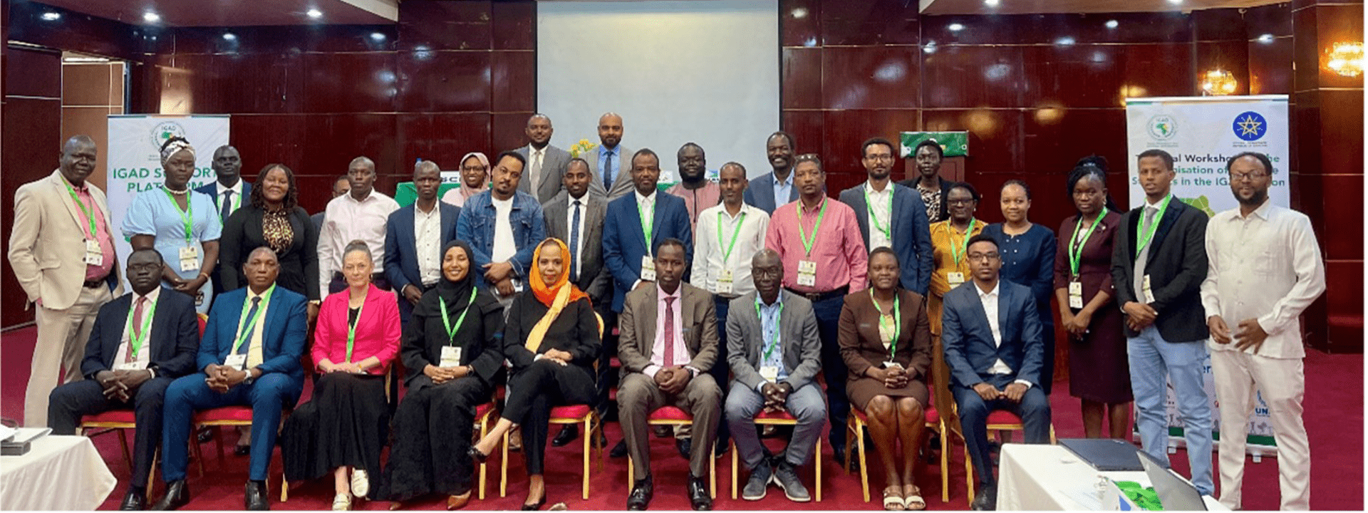 Harmonisation and Improvement of Production and Utilisation of Displacement Statistics in the IGAD Region, Technical Working Sub-Group on Displacement Statistics