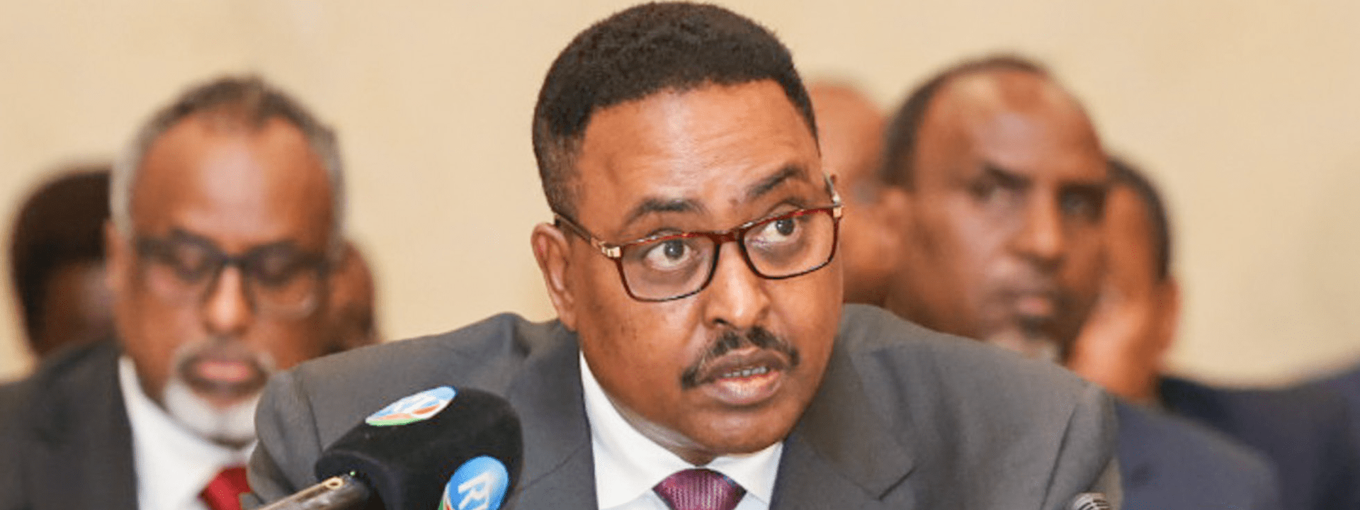 Remarks by H.E Dr Workneh Gebeyehu, IGAD Executive Secretary at ...