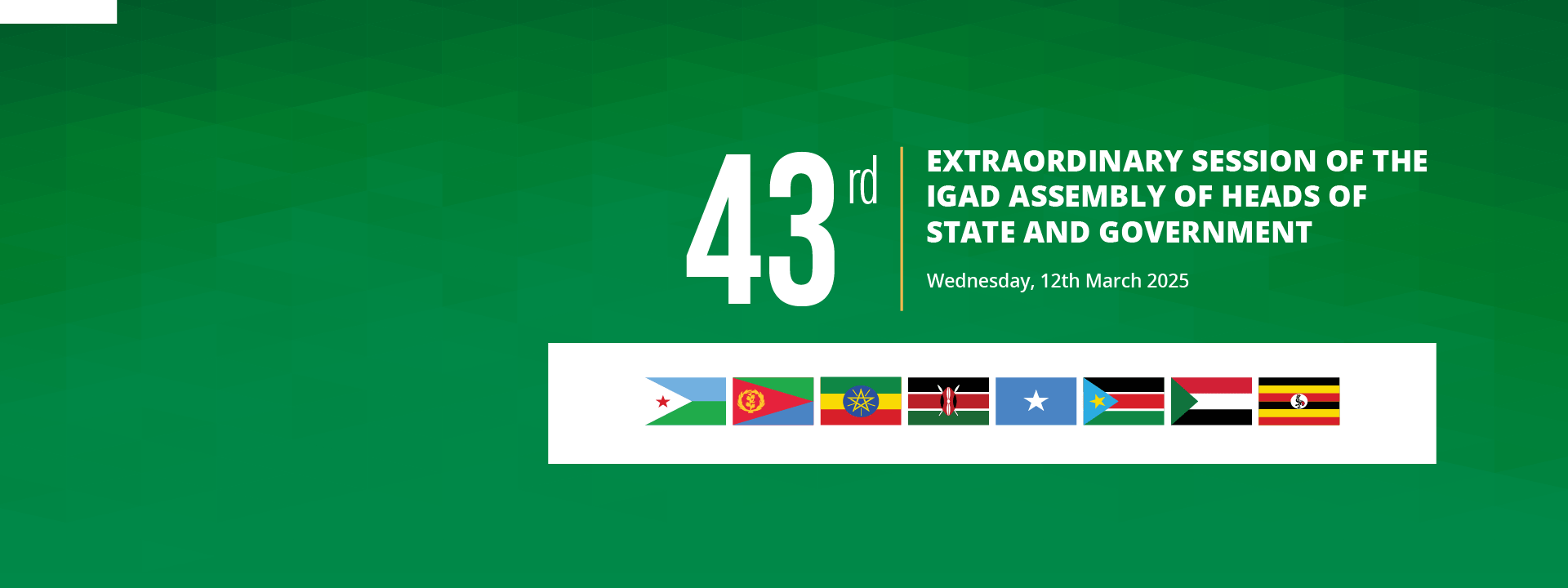 IGAD to Convene the 43rd Extraordinary Summit of Heads of State and Government on South Sudan