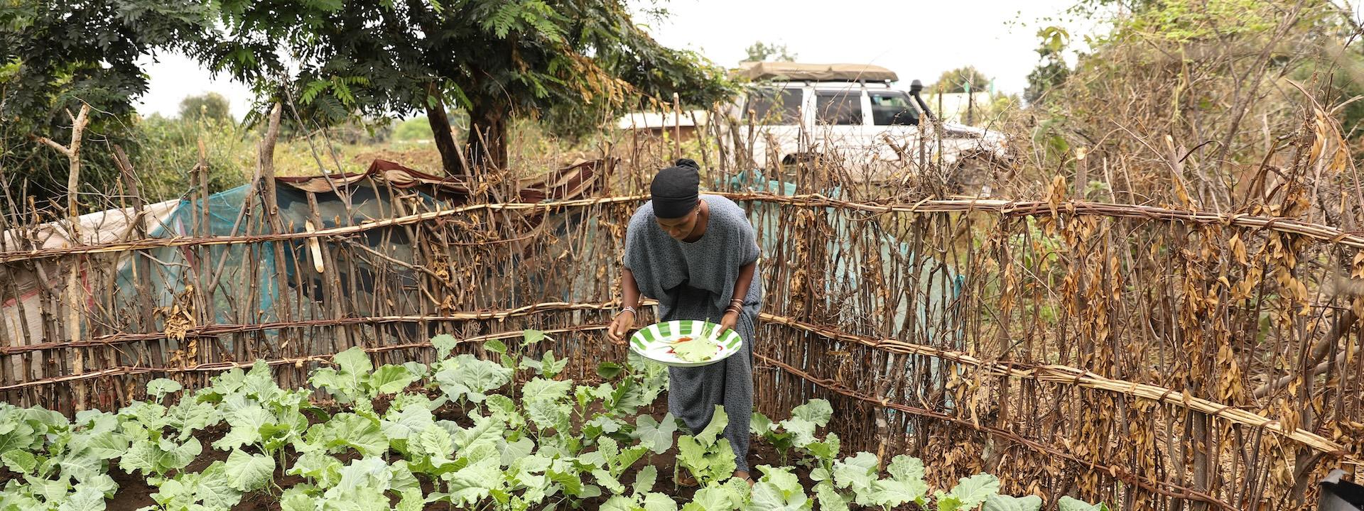 Strengthening Food Security and Nutrition in the IGAD Region