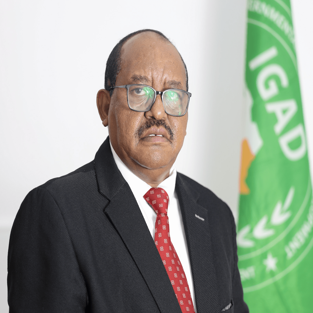 Mohyeldeen Eltohami Taha Hamed (PhD)