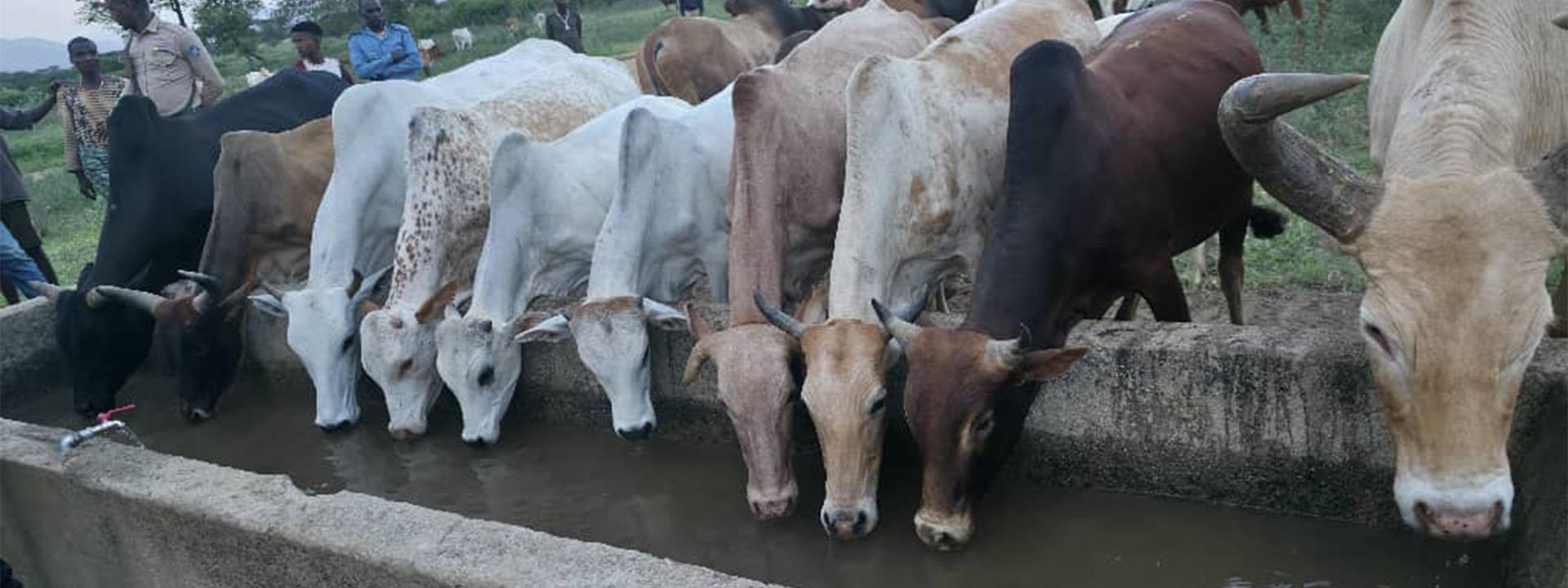 IGAD Commences Field Mission in Oromia and SNNP Regions of Ethiopia