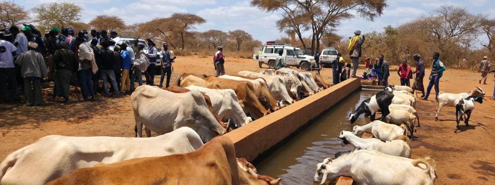 IDDRSI Conducts Regional Field Mission in Ethiopia