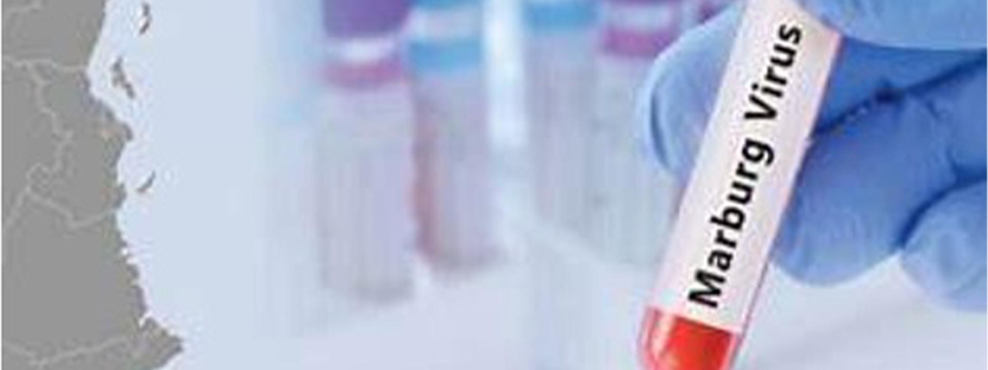 IGAD Convenes a Regional Emergency Meeting on Confirmed Marburg Virus Outbreak in Southern Ethiopia